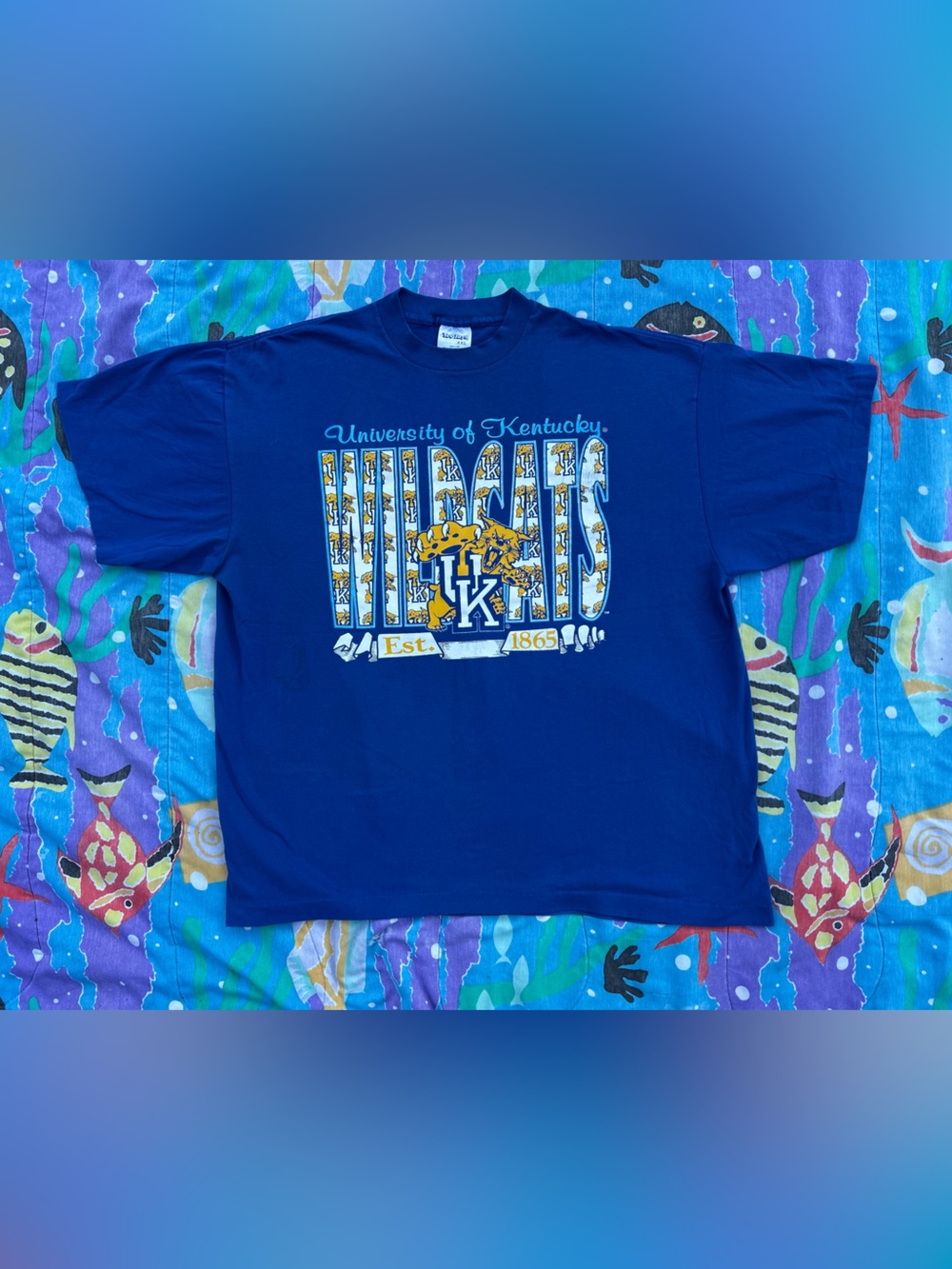 Blue 80s 2XL Kentucky Wildcats short sleeved t shirt